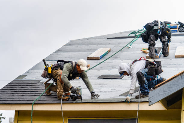 Professional Gutter Installation technician working in Roundhill, KY